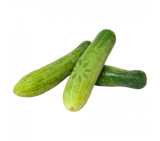 Pepino